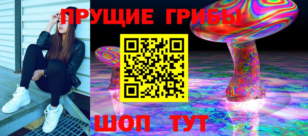 продажа наркотиков  Вход с VPN  Алатырь  Галлюциногенные грибы MAGIC MUSHROOMS 